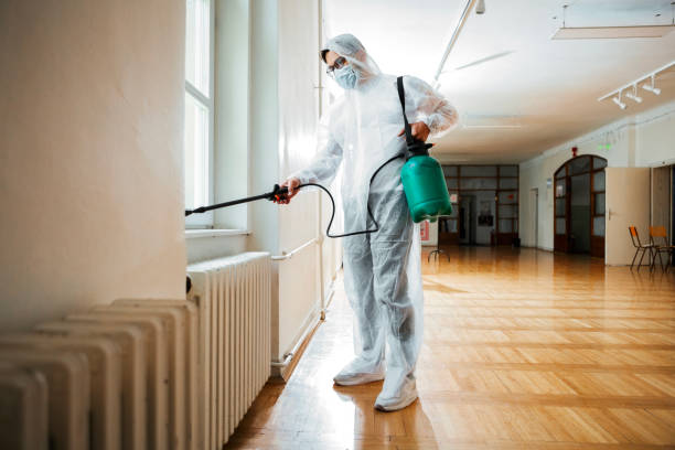 Best Pest Prevention Services  in Scott City, MO